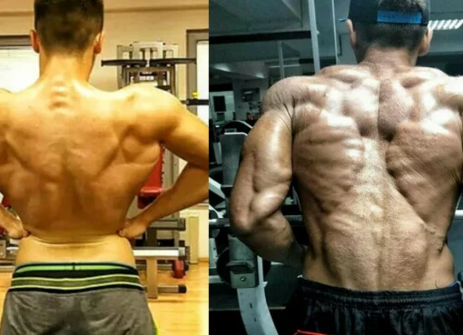 Most Effective and Best Sarms for Cutting And Bulking