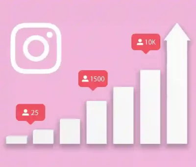 Instagram Followers