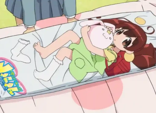 Mental Health And Dakimakuras
