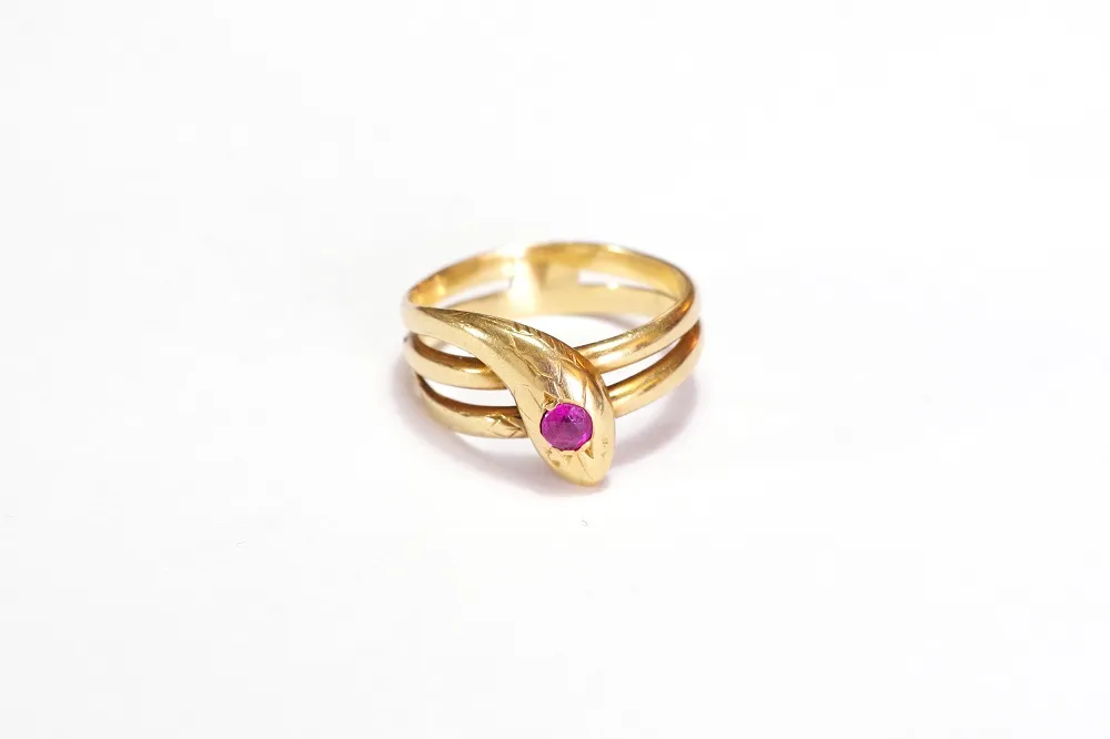 Discovering the Ruby Snake Meaning: Myths, Facts, and More 1 Ruby Snake Meaning