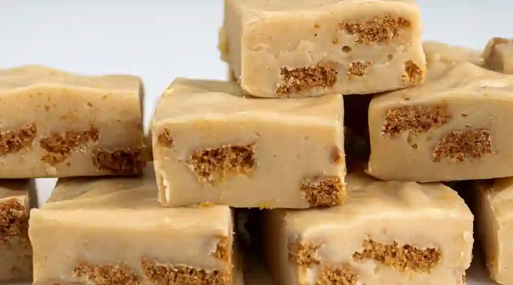 Biscoff Fudge