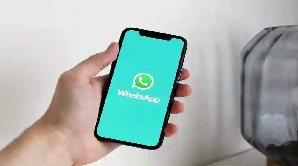 LogicalShout Updates WhatsApp
