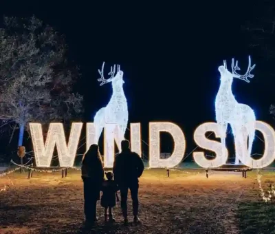 Windsor Great Park Illuminated