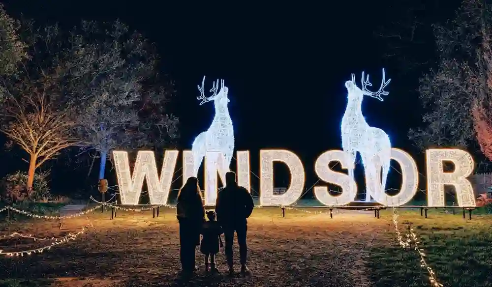 Windsor Great Park Illuminated